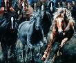 Stampede by Mal Luber Limited Edition Print