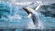 White Thunder Whale by Michael Sieve Limited Edition Print