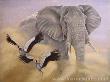 Masai Monarch by Victoria Wilson-Schultz Limited Edition Pricing Art Print