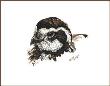 Bobwhite Beauty by Sherry Steele Limited Edition Pricing Art Print