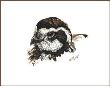 Bobwhite Beauty by Sherry Steele Limited Edition Print