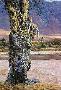 Vantage Point by Daniel Smith Limited Edition Print
