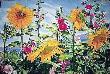 Sunsation by Mary Weinstein-Backer Limited Edition Print