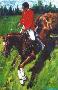 Cross Country Jumper by Robert Hurst Limited Edition Pricing Art Print