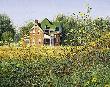 Victorian Meadow by Ned Young Limited Edition Print