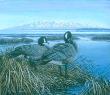 Susitna Spring by Shane Lamb Limited Edition Print