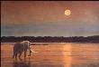 Moonlight Sonata by Linda Besse Limited Edition Print
