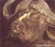 Big 5 Buffalo by Linda Besse Limited Edition Pricing Art Print