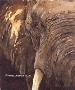 Big 5 Elephant by Linda Besse Limited Edition Print