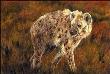 Ugly 5 Spotted Hyena by Linda Besse Limited Edition Print