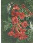 Trumpet Nectar by Beverly Abbott Limited Edition Print
