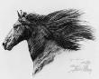 Friesian by Sheri Greves-Neilson Limited Edition Print