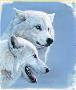 Arctic Wolves by Al Agnew Limited Edition Print
