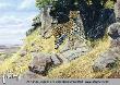 King Of The Hill by Al Agnew Limited Edition Print