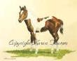 Pretty Filly by Karen L Thumm Limited Edition Print