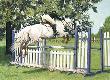 Over The Oxer by Karen L Thumm Limited Edition Print