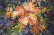 Hibiscus by Patricia Post Limited Edition Print