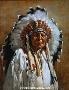 Chief Bald Eagl by J Hester Limited Edition Print