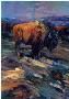 High Plains Bison by Terry Lee Limited Edition Pricing Art Print