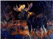 Moose Hollow by Terry Lee Limited Edition Print