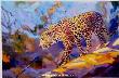 Leopard Walk by Terry Lee Limited Edition Pricing Art Print