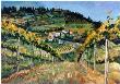 Vinyard San Gimgnano by Terry Lee Limited Edition Pricing Art Print