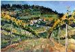 Vinyard San Gimgnano by Terry Lee Limited Edition Print