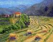 Tuscan Hay Field by Terry Lee Limited Edition Print