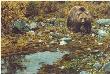 Trailblazer Grizzly by Carl Brenders Limited Edition Print