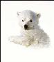 Polar Bear Cub Studyso by Carl Brenders Limited Edition Print