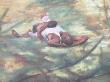 Two In The Shade by Sharon Wilson Limited Edition Print