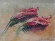 Hibiscus by Sharon Wilson Limited Edition Pricing Art Print