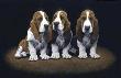 Bassett Hound Pups by John Weiss Limited Edition Pricing Art Print