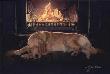 Feeling Of Warmth by John Weiss Limited Edition Print