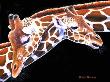 Intertwined Giraffes by Diane Querry Limited Edition Print