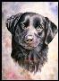 Happy Times Black Lab by Diane Querry Limited Edition Print