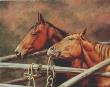 Horse Play by Gaylene Fortner Limited Edition Pricing Art Print