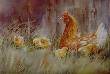Country Chicks by Gaylene Fortner Limited Edition Print