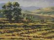 Wyoming Windrows by Gaylene Fortner Limited Edition Print