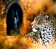 Gothic Leopard by Kindrie Grove Limited Edition Pricing Art Print