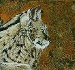 Portent Serval by Kindrie Grove Limited Edition Print