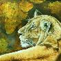 Portent Lioness I by Kindrie Grove Limited Edition Print