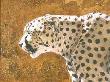 Portent Cheetah by Kindrie Grove Limited Edition Pricing Art Print