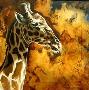 Portent Giraffe by Kindrie Grove Limited Edition Pricing Art Print