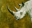 Portent Blck Rhino by Kindrie Grove Limited Edition Pricing Art Print