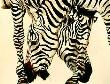 Common Zebras I by Kindrie Grove Limited Edition Print