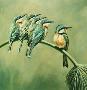 Rainbow Tribe by Kindrie Grove Limited Edition Print