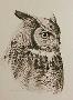Great Horned Owl by Kindrie Grove Limited Edition Pricing Art Print
