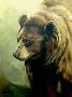 Cinnamon by Kindrie Grove Limited Edition Print