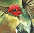 Annas Hummingbird by Kindrie Grove Limited Edition Pricing Art Print